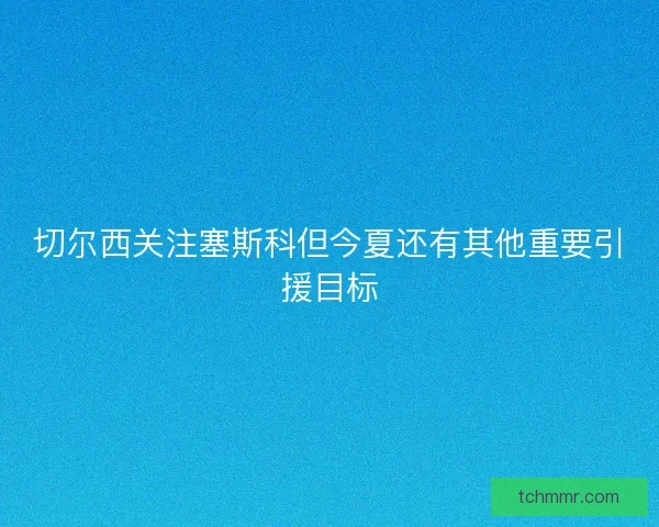 切尔西关注塞斯科但今夏还有其他重要引援目标 切尔西关注塞斯科但今夏还有其他重要引援目标
