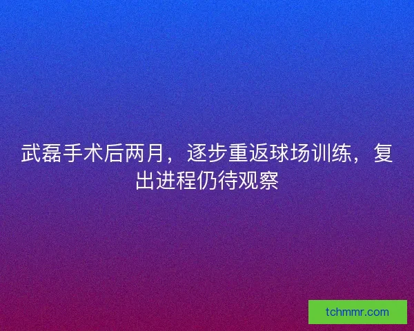 武磊手术后两月，逐步重返球场训练，复出进程仍待观察