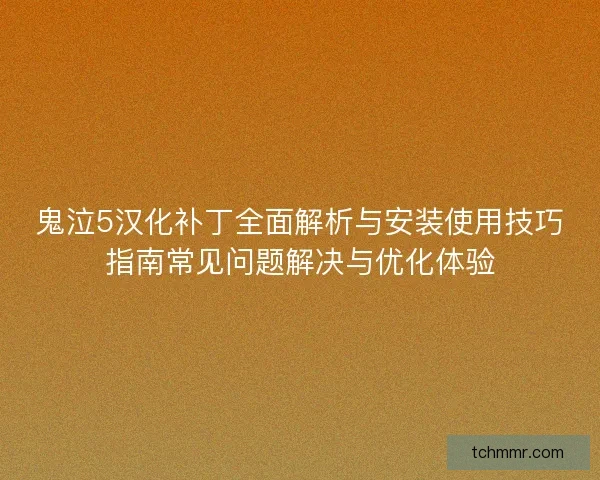 鬼泣5汉化补丁全面解析与安装使用技巧指南常见问题解决与优化体验